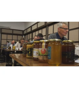 AZ év méze verseny - Gyula 2022